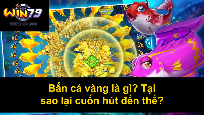 Bắn cá vàng là gì Tại sao lại cuốn hút đến thế
