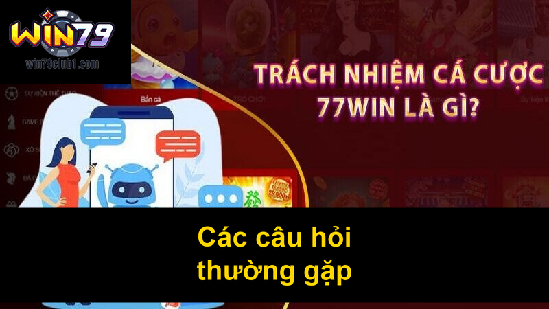 Các câu hỏi thường gặp