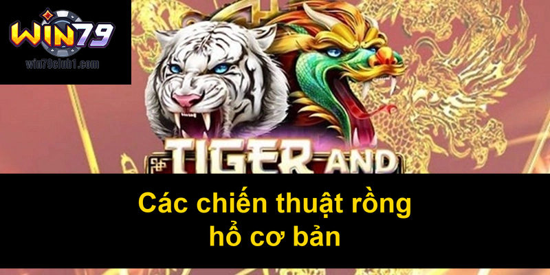 Các chiến thuật rồng hổ cơ bản