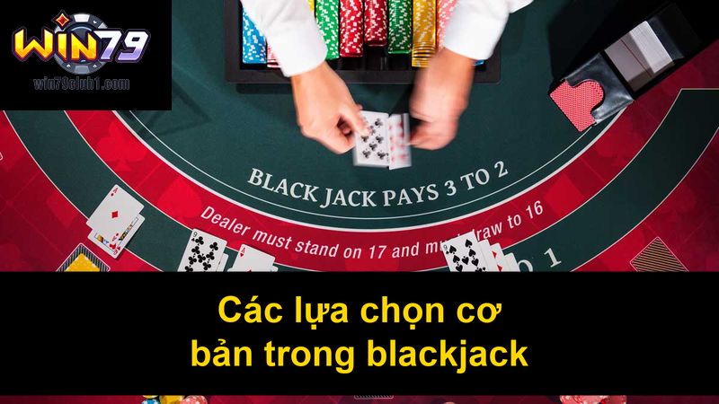 Các lựa chọn cơ bản trong blackjack