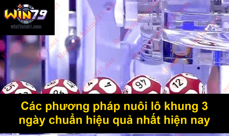 Các phương pháp nuôi lô khung 3 ngày chuẩn hiệu quả nhất hiện nay