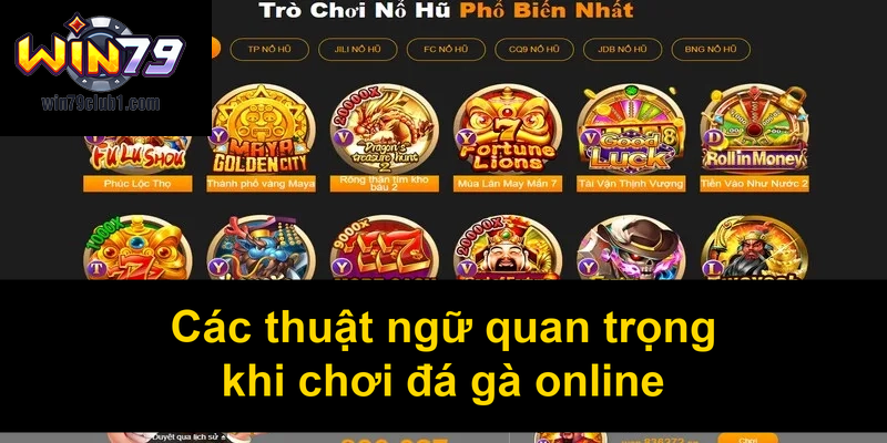 Các thuật ngữ quan trọng khi chơi đá gà online