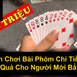 Cách Chơi Bài Phỏm Chi Tiết Và Hiệu Quả Cho Người Mới Bắt Đầu