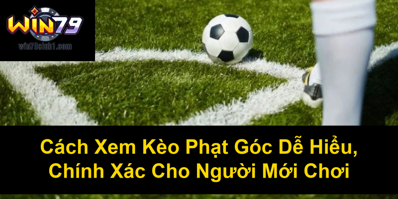 Cách Xem Kèo Phạt Góc Dễ Hiểu Chính Xác Cho Người Mới Chơi
