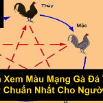 Cách Xem Màu Mạng Gà Đá Theo Ngày Chuẩn Nhất Cho Người Mới