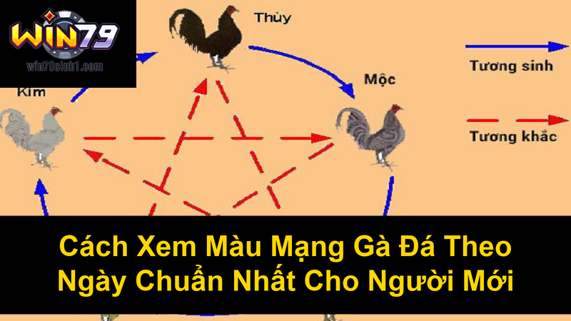 Cách Xem Màu Mạng Gà Đá Theo Ngày Chuẩn Nhất Cho Người Mới