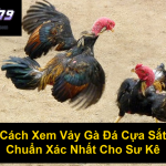 Cách Xem Vảy Gà Đá Cựa Sắt Chuẩn Xác Nhất Cho Sư Kê