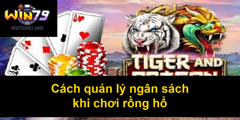 Cách quản lý ngân sách khi chơi rồng hổ
