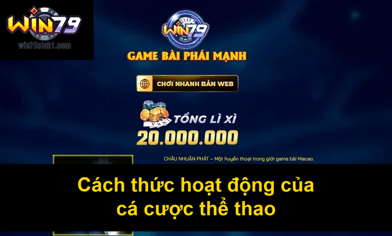 Cách thức hoạt động của cá cược thể thao