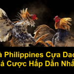 Đá Gà Philippines Cựa Dao Bộ Môn Cá Cược Hấp Dẫn Nhất 2025