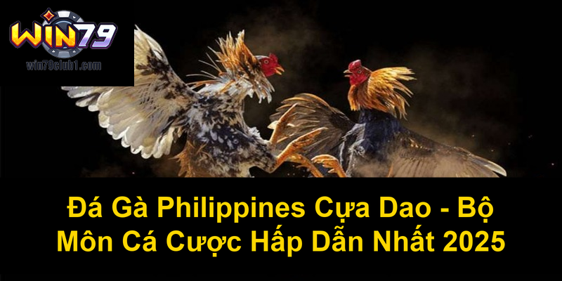 Đá Gà Philippines Cựa Dao Bộ Môn Cá Cược Hấp Dẫn Nhất 2025