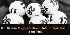 Nuôi Dàn Đề 50 Con: Bí Quyết Đánh Đề Chuẩn Xác, Hiệu Quả