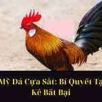 Gà Tre Siêu Mỹ Đá Cựa Sắt Bí Quyết Tạo Nên Chiến Kê Bất Bại