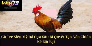 Cách Nhận Biết Gà Chọi Đá Hay Chuẩn Xác Từ Sư Kê Lão Làng