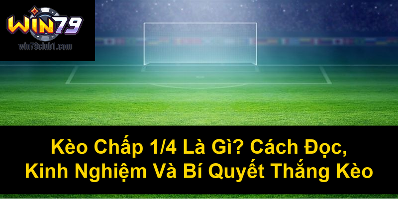 Kèo Chấp 14 Là Gì Cách Đọc Kinh Nghiệm Và Bí Quyết Thắng Kèo
