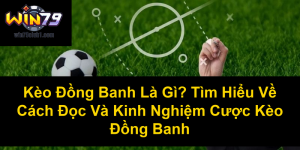 Kèo Chấp 1/4 Là Gì? Cách Đọc, Kinh Nghiệm Và Bí Quyết Thắng Kèo