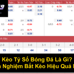 Kèo Tỷ Số Bóng Đá Là Gì Kinh Nghiệm Bắt Kèo Hiệu Quả Nhất