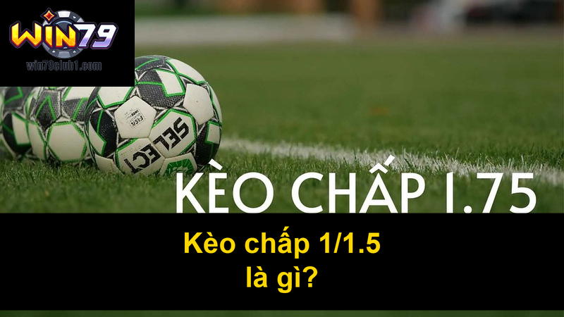 Kèo chấp 115 là gì