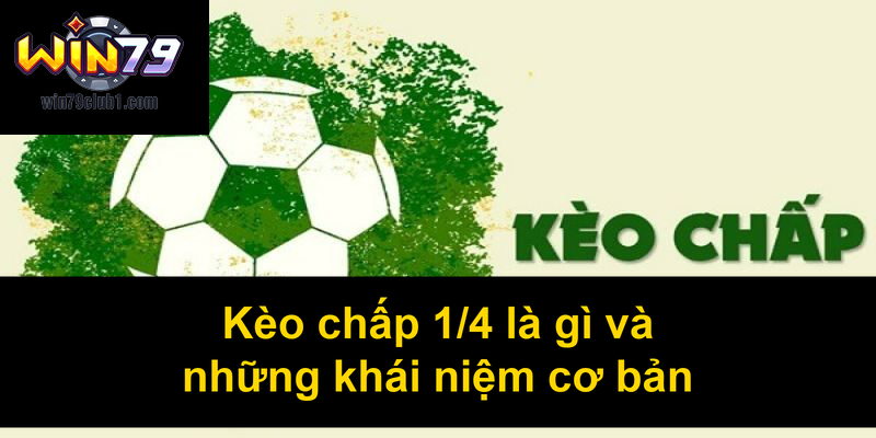 Kèo chấp 14 là gì và những khái niệm cơ bản