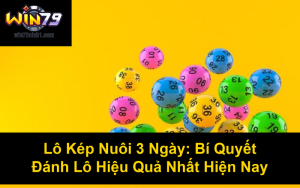 Nuôi Dàn Đề 50 Con: Bí Quyết Đánh Đề Chuẩn Xác, Hiệu Quả