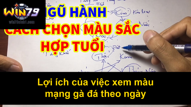 Lợi ích của việc xem màu mạng gà đá theo ngày