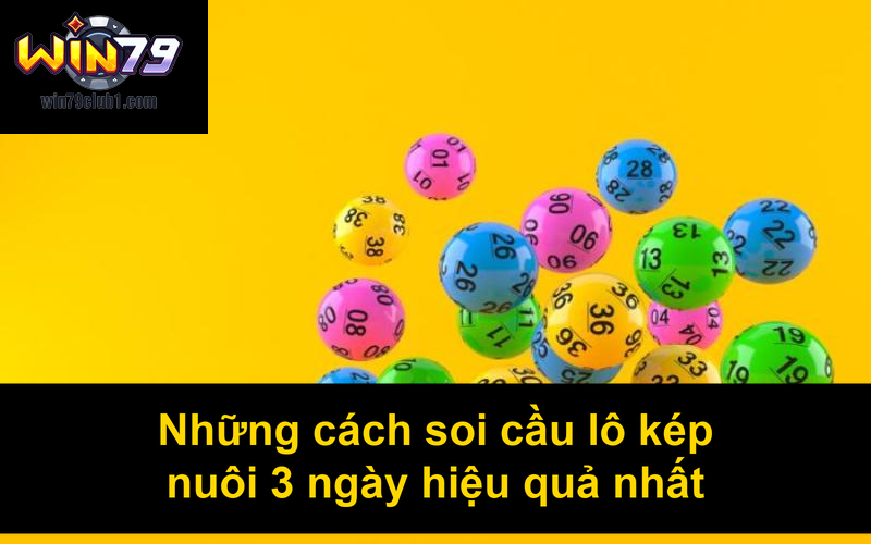 Những cách soi cầu lô kép nuôi 3 ngày hiệu quả nhất