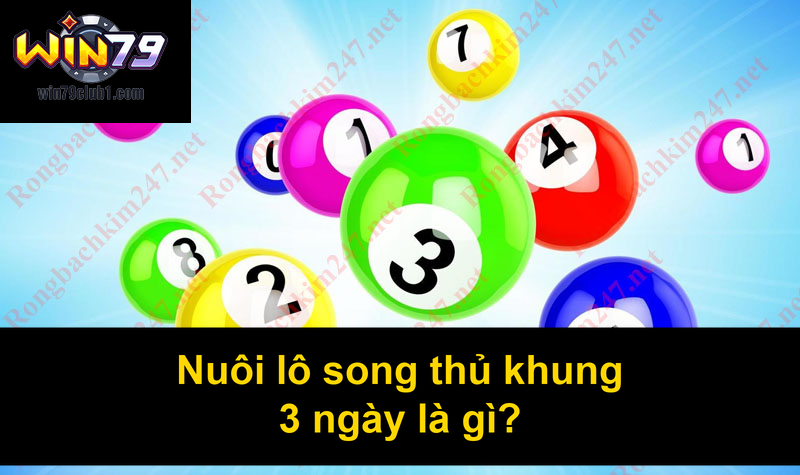 Nuôi lô song thủ khung 3 ngày là gì