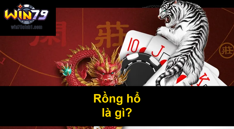 Rồng hổ là gì