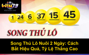 Nuôi Dàn Đề 50 Con: Bí Quyết Đánh Đề Chuẩn Xác, Hiệu Quả