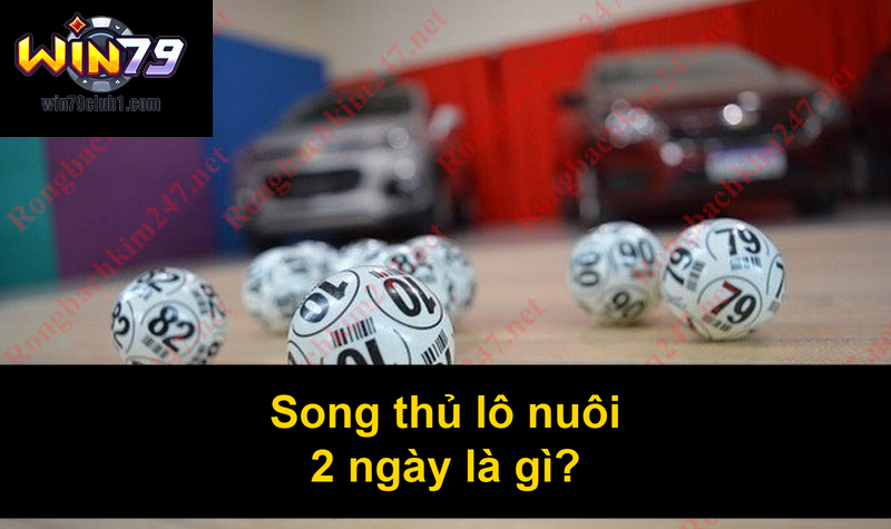 Song thủ lô nuôi 2 ngày là gì